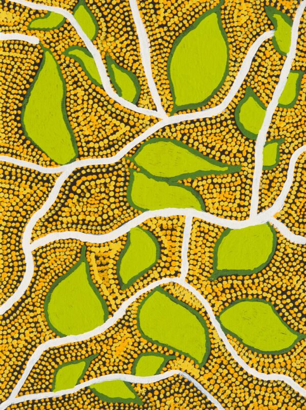 25-1286 - Graham Mintern