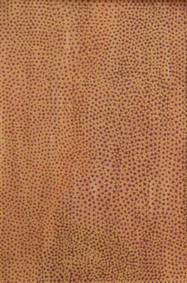 25-1336 - Alysha Taylor