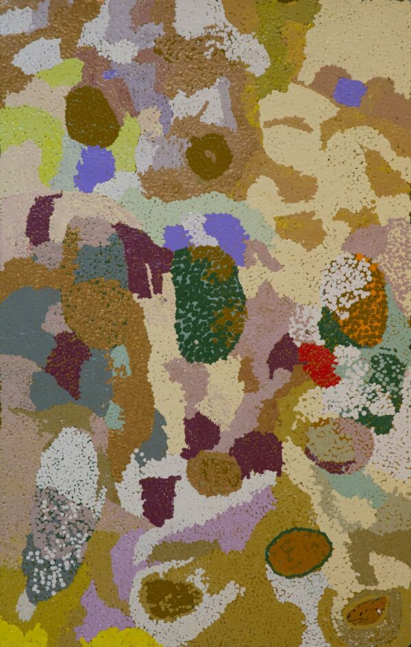 23-319 - Ngamaru Bidu