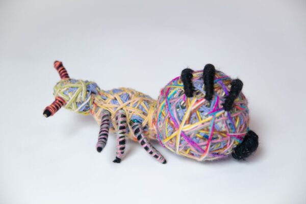 25-1415 - Kathleen Maree Sorensen