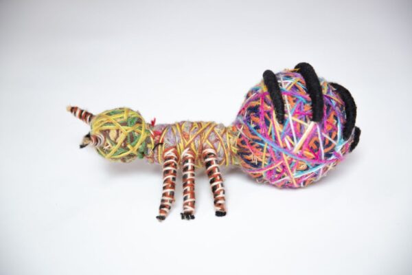 25-1421 - Kathleen Maree Sorensen