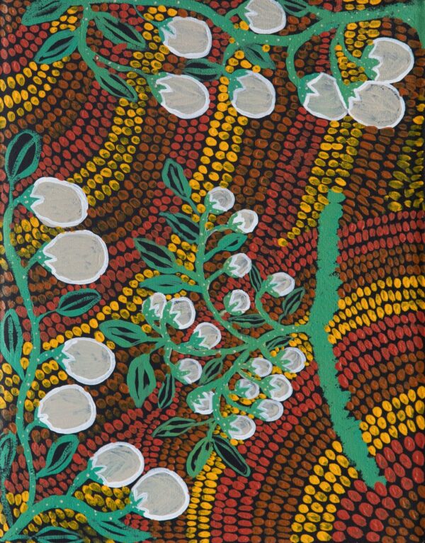 24-1115 - Lucelle Francis