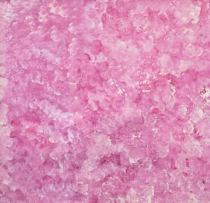 25-782 - Desrae  Anderson