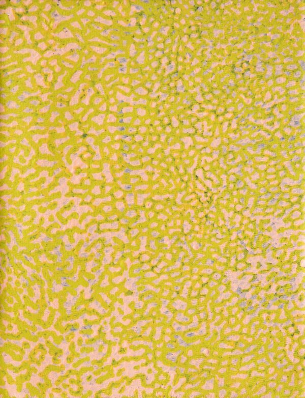 26-33 - Muuki Taylor OAM