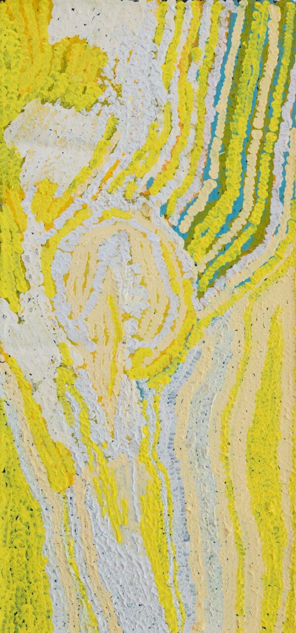 26-130 - Ngamaru Bidu