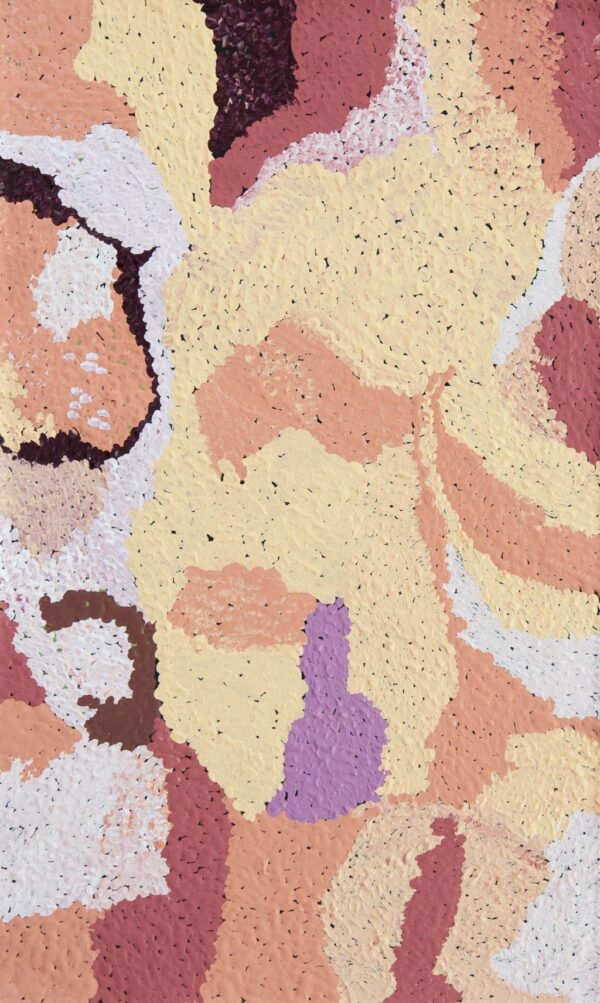 26-134 - Ngamaru Bidu